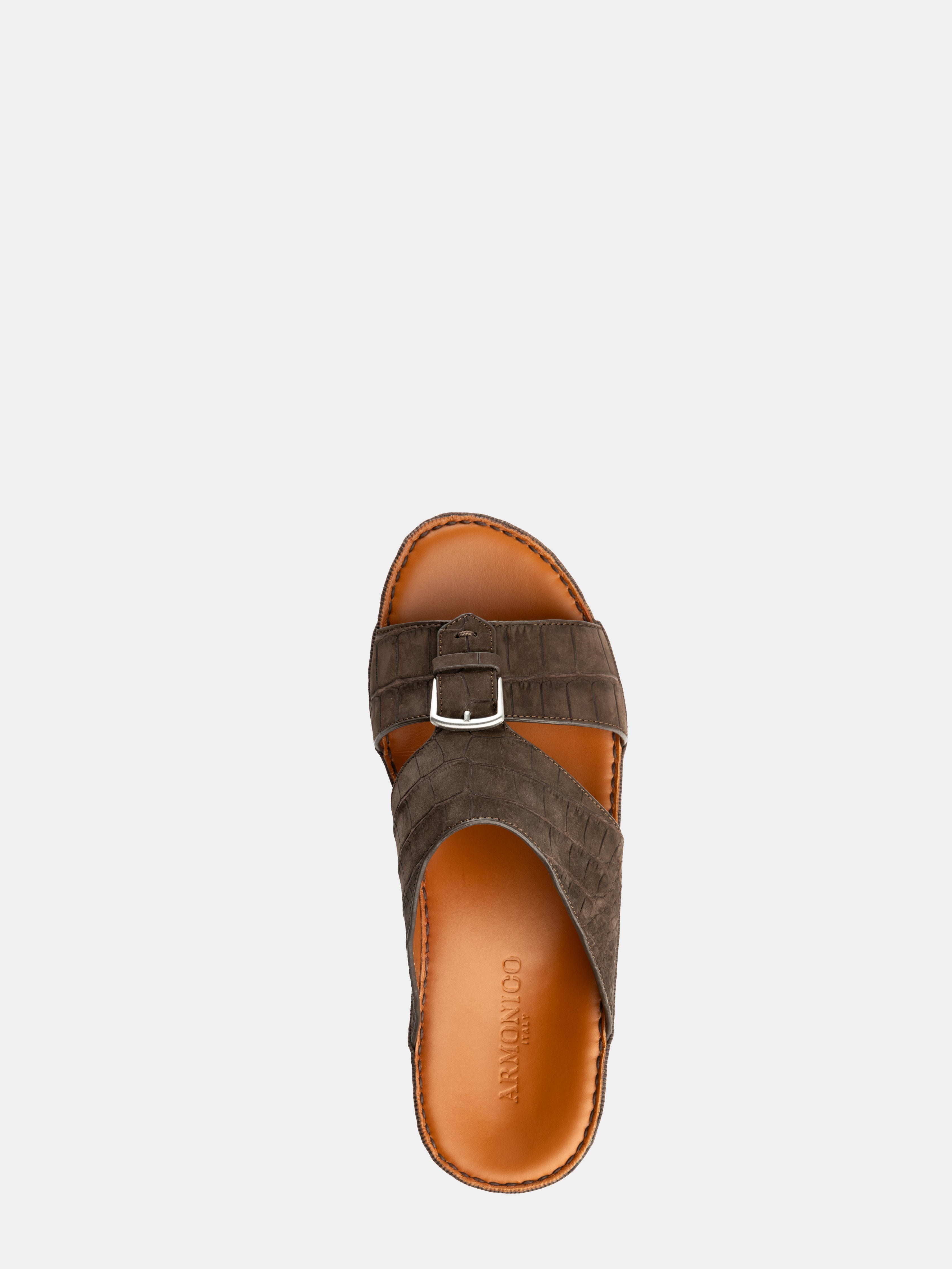 Suhail Nabuk Alligator