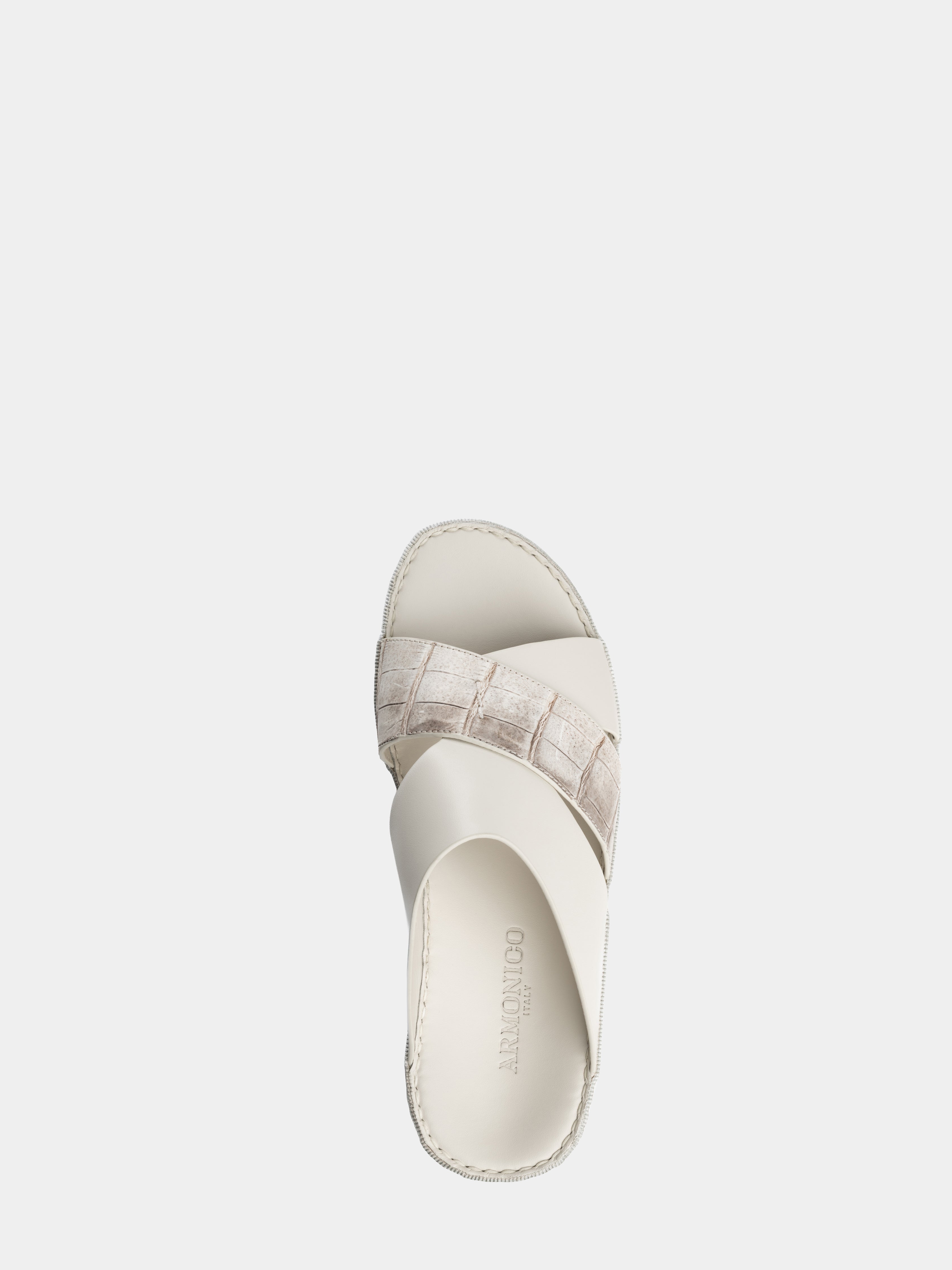 Tayf Romacalf Croco