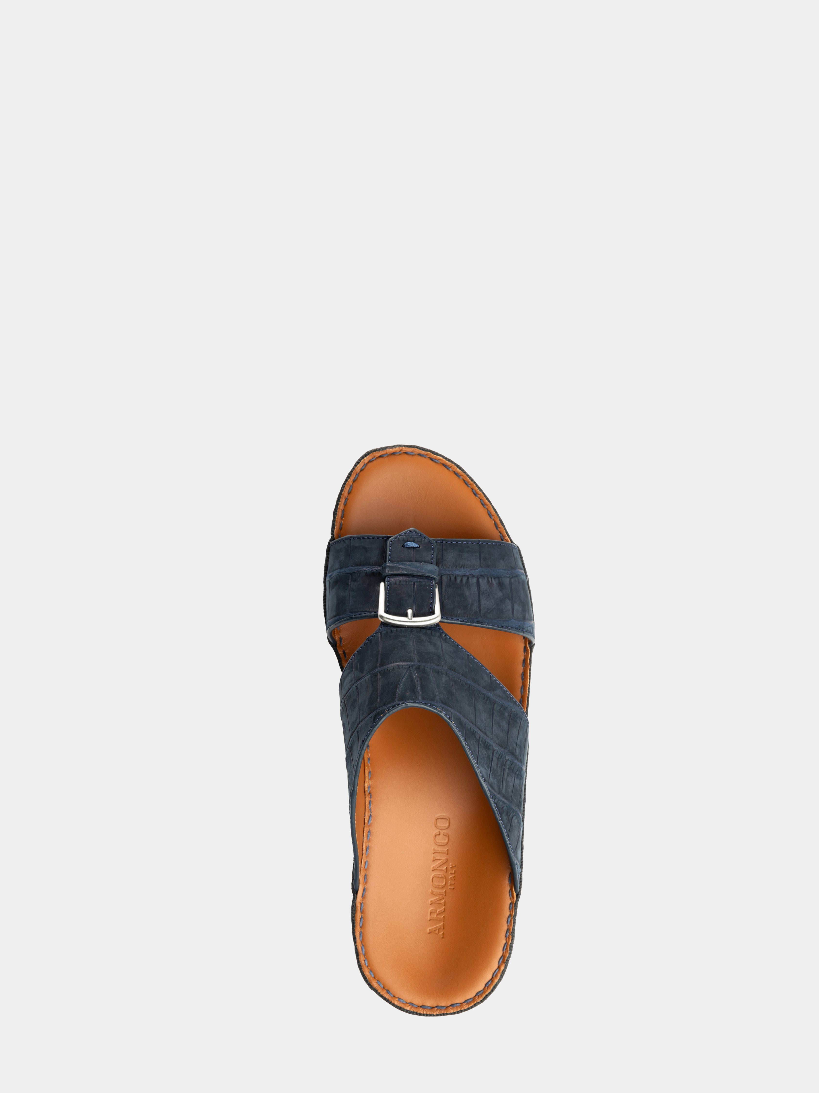 Suhail Nabuk Alligator